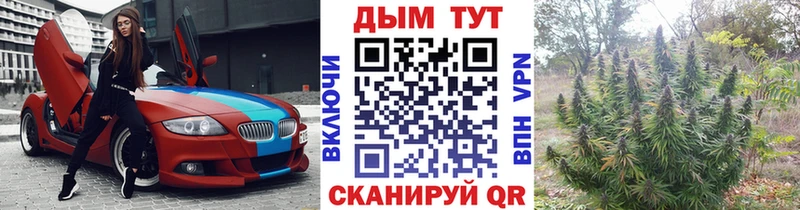 МАРИХУАНА ГИДРОПОН  купить наркотики сайты  Пестово 